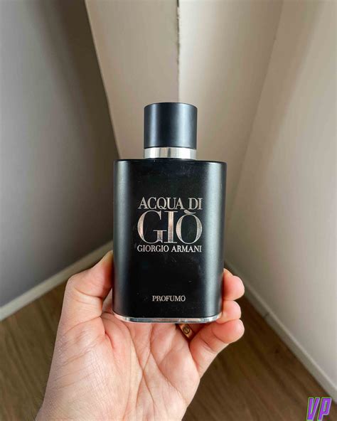 versace poue homme vs gio profumo|Acqua Di Gio Profumo vs Versace Pour Homme .